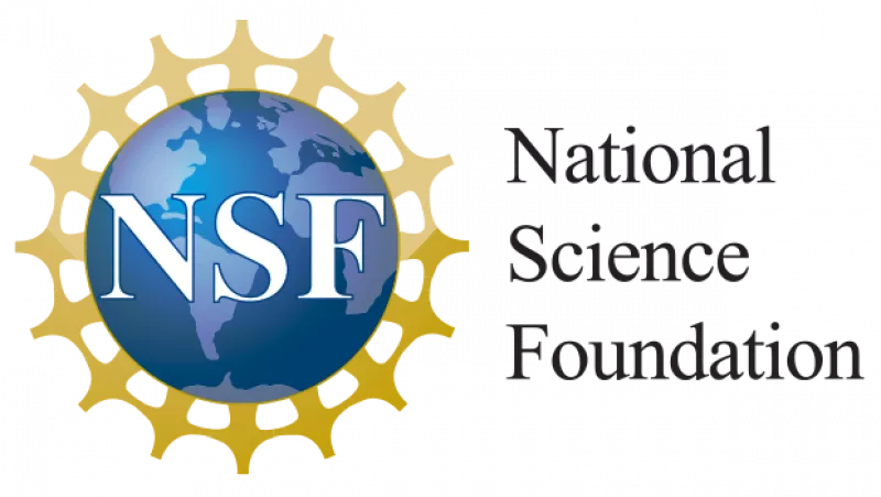The National Science Foundation logo.