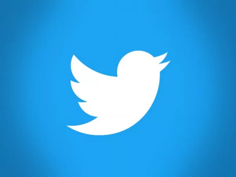 The Twitter bird logo.