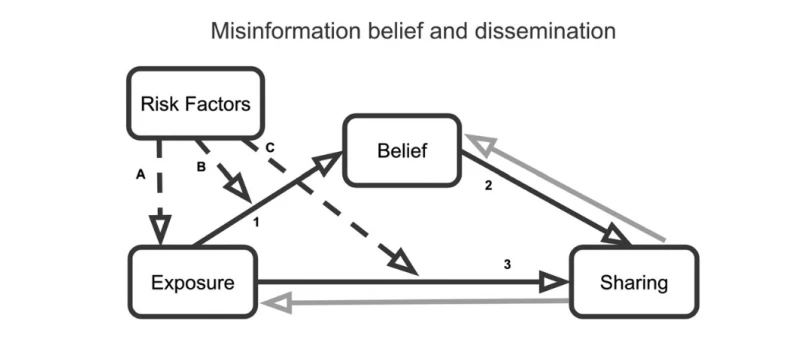 Chart showing misinformation belief and dissemination.